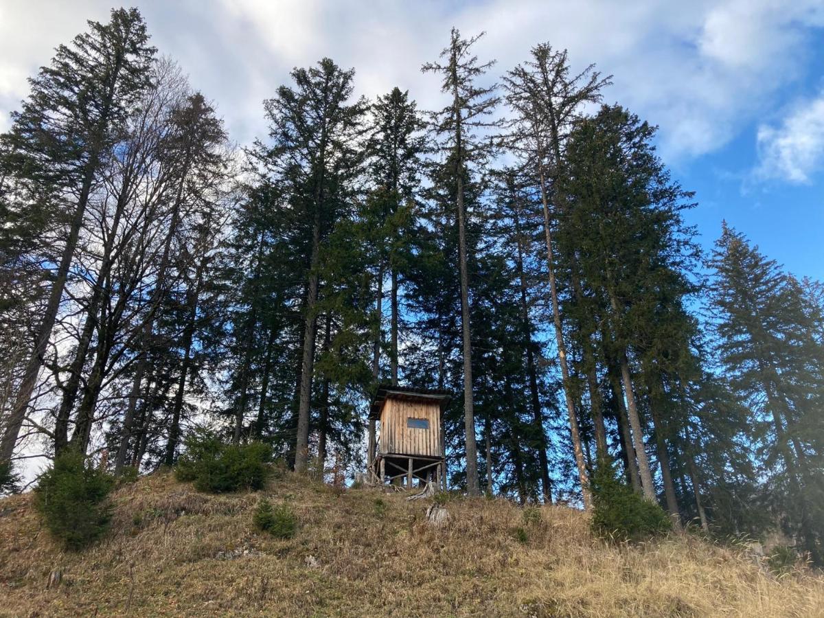 Chalet Wildalpen Buitenkant foto