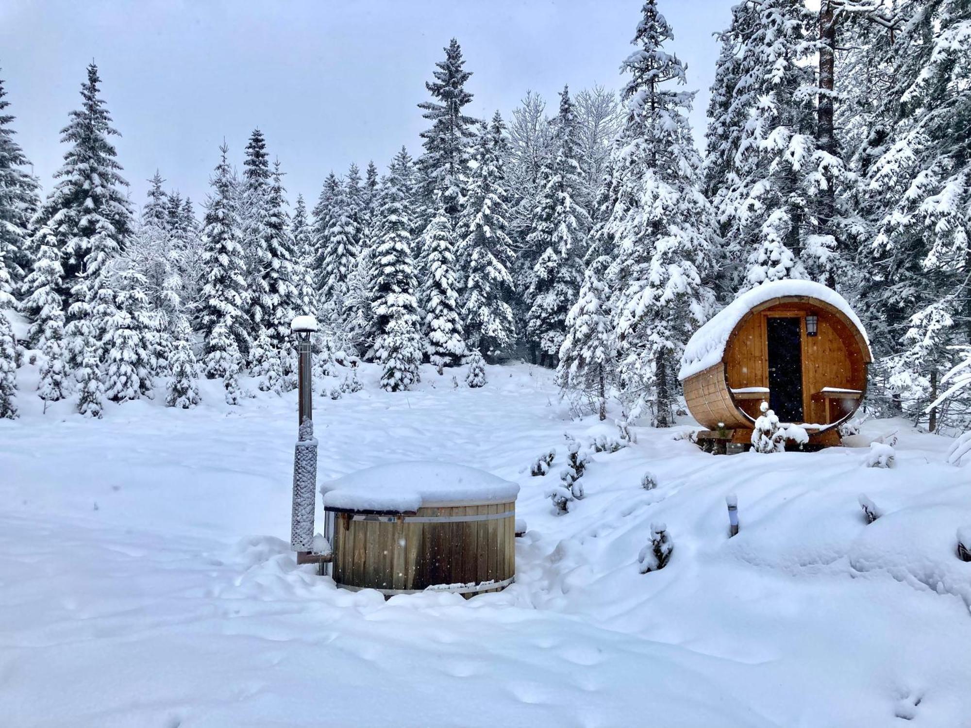 Chalet Wildalpen Buitenkant foto
