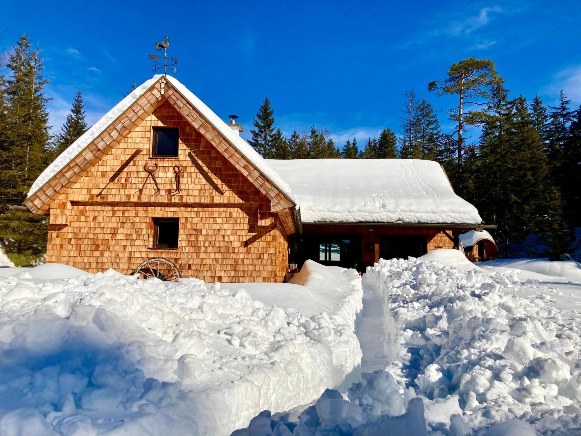 Chalet Wildalpen Buitenkant foto