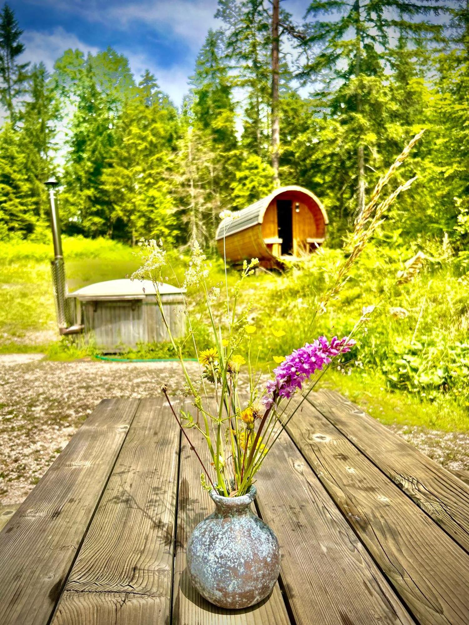 Chalet Wildalpen Buitenkant foto