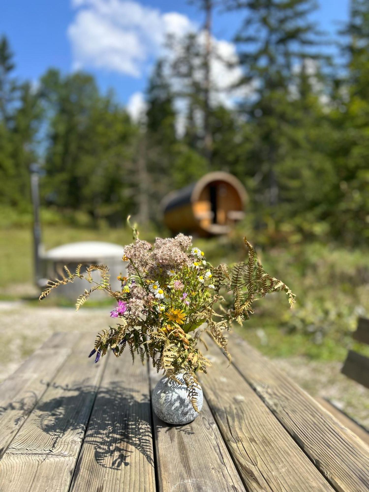 Chalet Wildalpen Buitenkant foto